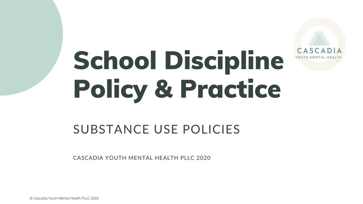 School Discipline Policy and Practice Slide